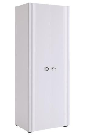 Ева Шкаф 2 дв/104.01/Белое дерево/Белый матовый